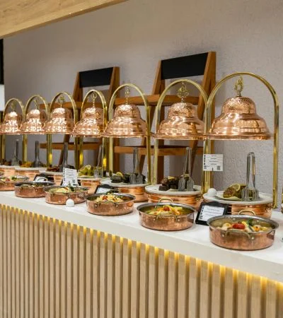 Wedding Hospitality Services Udaipur